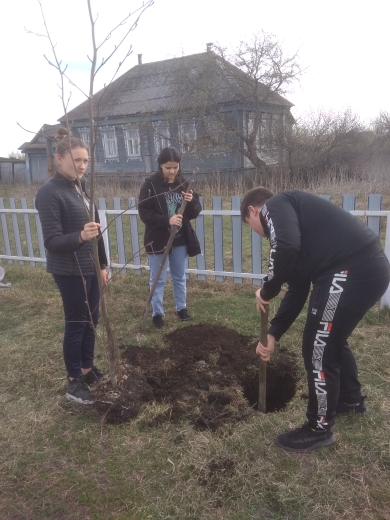 «Сад Победы».