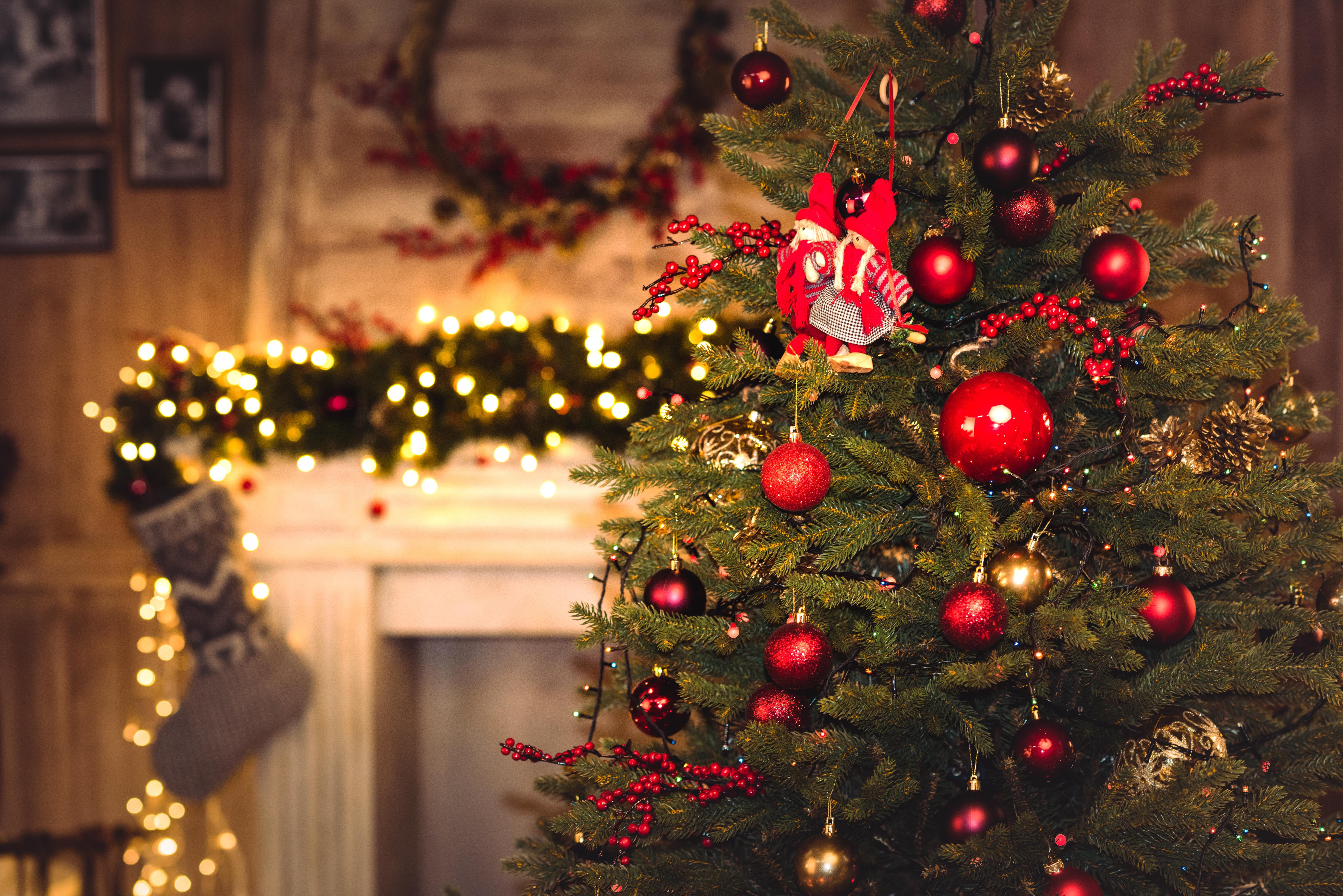 7 января 2024 года #Всей семьёй на Рождественскую ёлку в сельский дом культуры.
